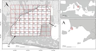 The Miseno Lake (Central-Western Mediterranean Sea): An Overlooked Reservoir of Non-Indigenous and Cryptogenic Ascidians in a Marine Reserve